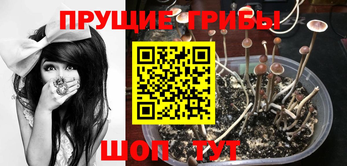 Галлюциногенные грибы Psilocybine cubensis  хочу   Лысьва  Вход с VPN  Псилоцибиновые грибы Cubensis 