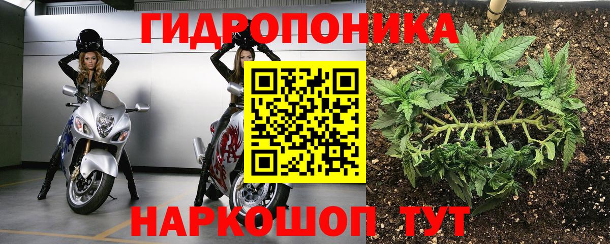 Бошки марихуана Amnesia Лысьва